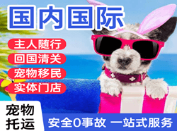 若羌楼兰空运代理国际宠物托运 【国